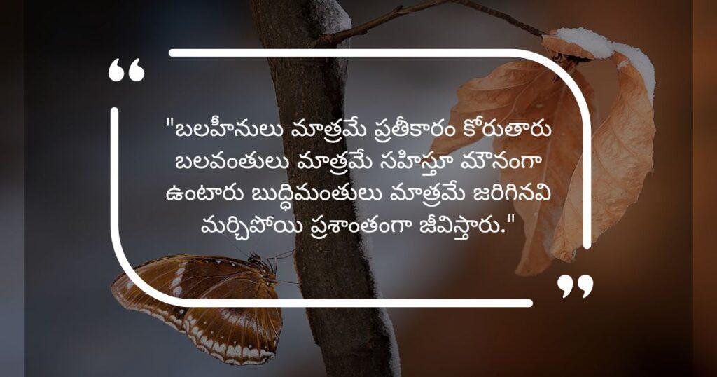 "బలహీనులు మాత్రమే ప్రతీకారం కోరుతారు బలవంతులు మాత్రమే సహిస్తూ మౌనంగా ఉంటారు బుద్ధిమంతులు మాత్రమే జరిగినవి మర్చిపోయి ప్రశాంతంగా జీవిస్తారు."