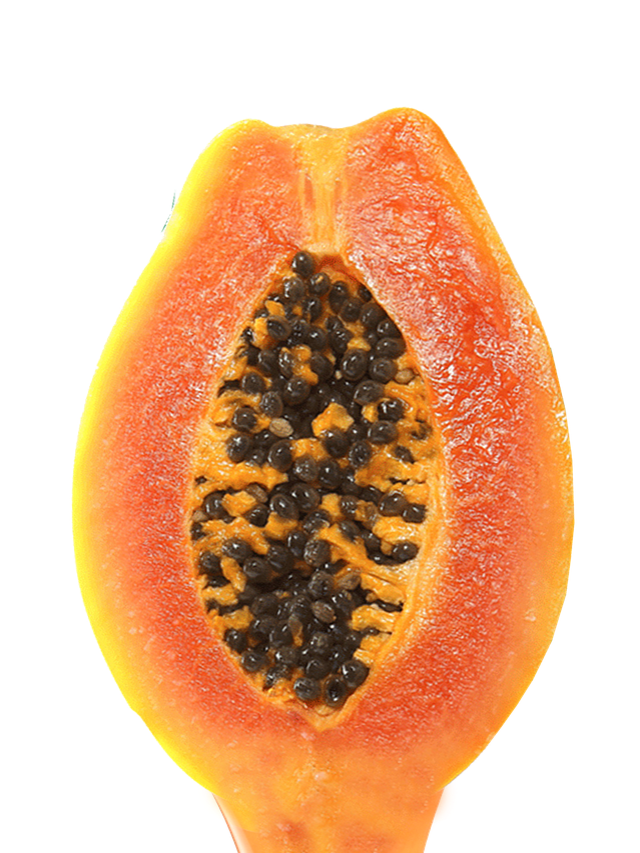 papaya