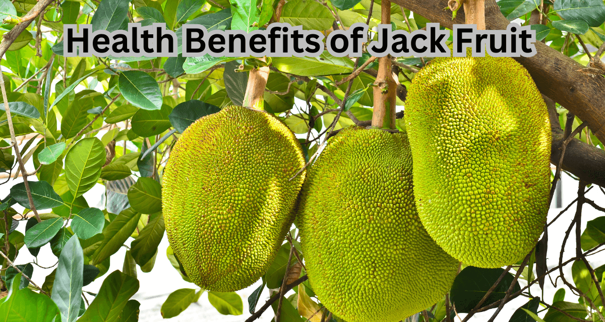 Health Benefits of Jack Fruit