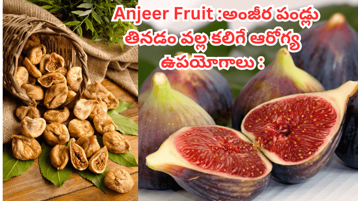 Anjeera Fruit