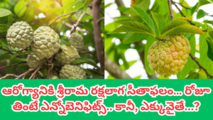 Custard Apple