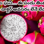 Dragon Fruit in Telugu