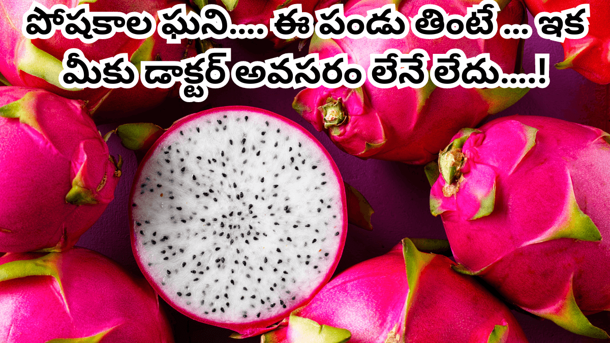 Dragon Fruit in Telugu