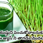 Godhuma Gaddi Juice Benefits in Telugu.2024