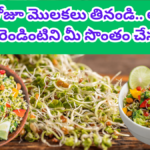 Sprouts Health Benefits in Telugu