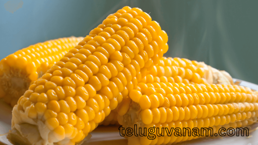 Sweet Corn