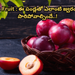 Plum Fruit In Telugu