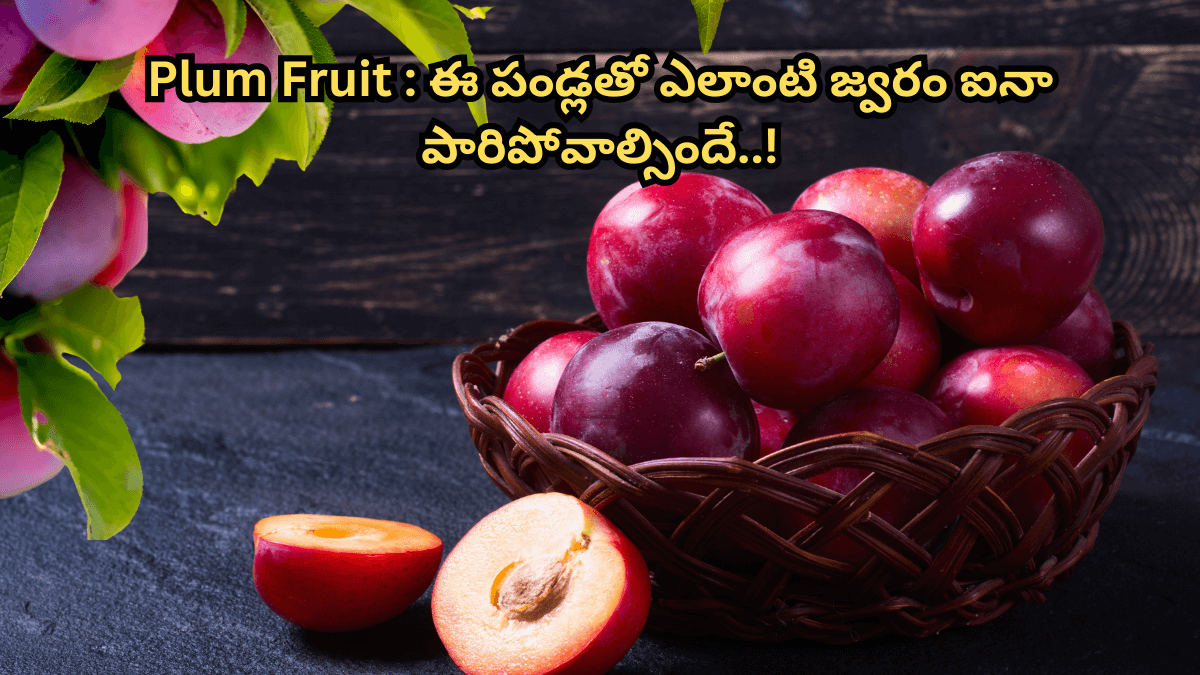 Plum Fruit In Telugu