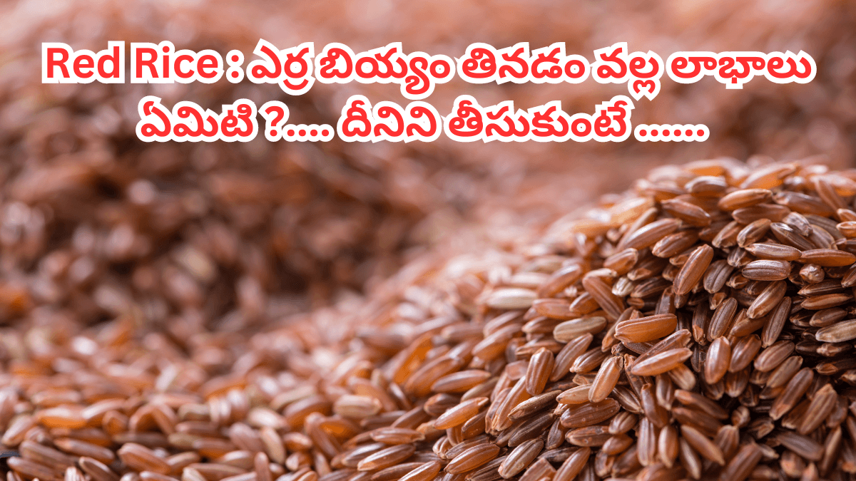 red rice benefits