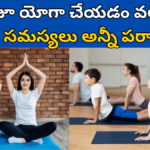 Yoga Benefits in Telugu