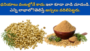 Coriander Seeds in Telugu