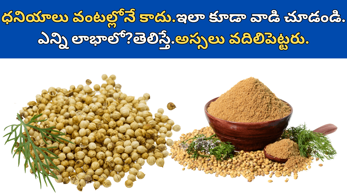 Coriander Seeds in Telugu