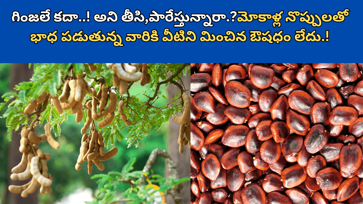 Tamarind Seeds Benefits in Telugu