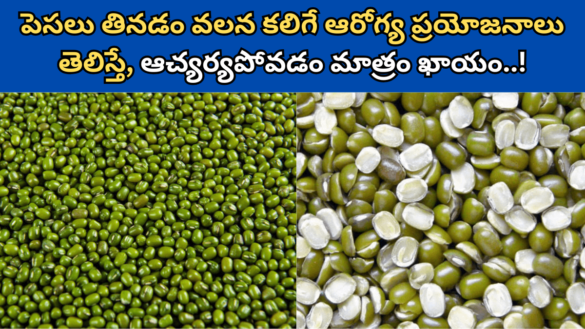 Moong Dal in Telugu